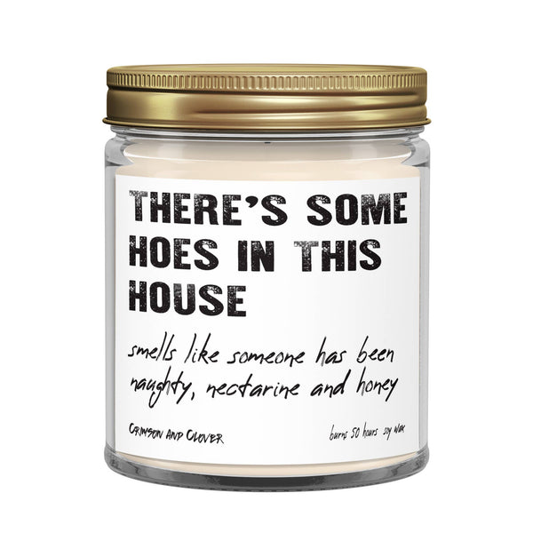 There's Some Hoes in this House Honey Funny Soy Jar Candle