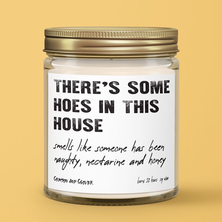 There's Some Hoes in This House Nectarine Honey Soy Candle